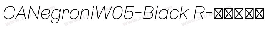 CANegroniW05-Black R字体转换